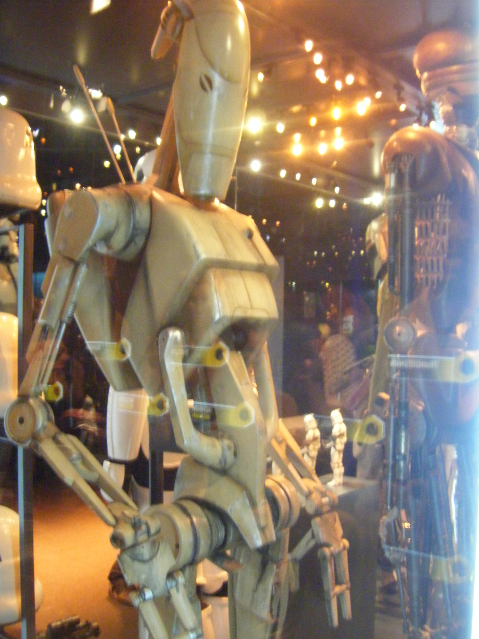 DSCF0017